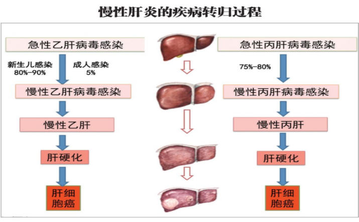 微信截图_20230728085941.png