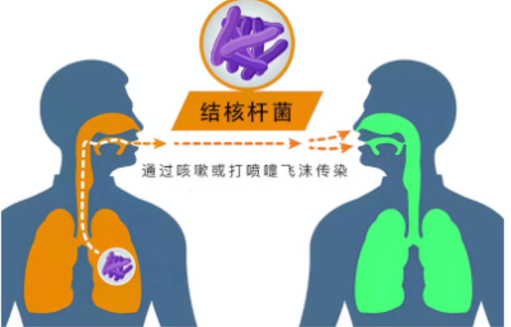 1773369697622406.png 图片4.png